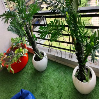 Stock photo of apartment balcony in Ghaziabad, India decorated with artificial grass turf, potted plants, fish pond and bean bags. Gardening and exterior design concept.