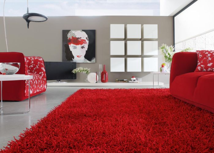 Modern-Living-Room-Red-Carpet